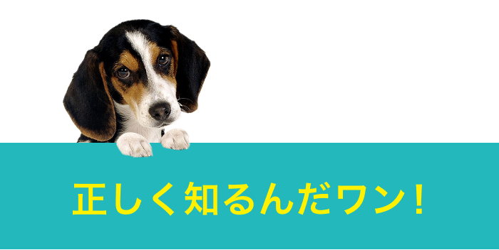正しく知るんだワン!